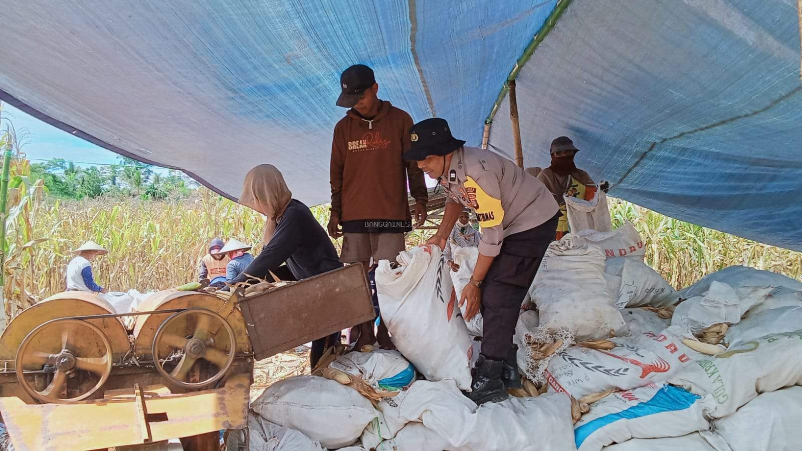  Bhabinkamtibmas Polsek Batui  Turut Perkuat Program Ketahanan Pangan