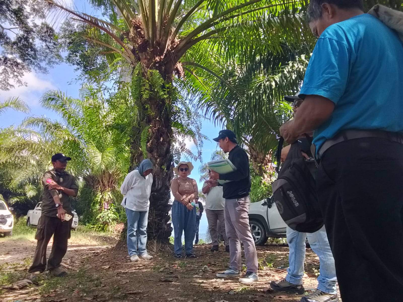  Jalankan Akta Perdamaian, Enam Objek Lahan Sawit di Batui Diverifikasi