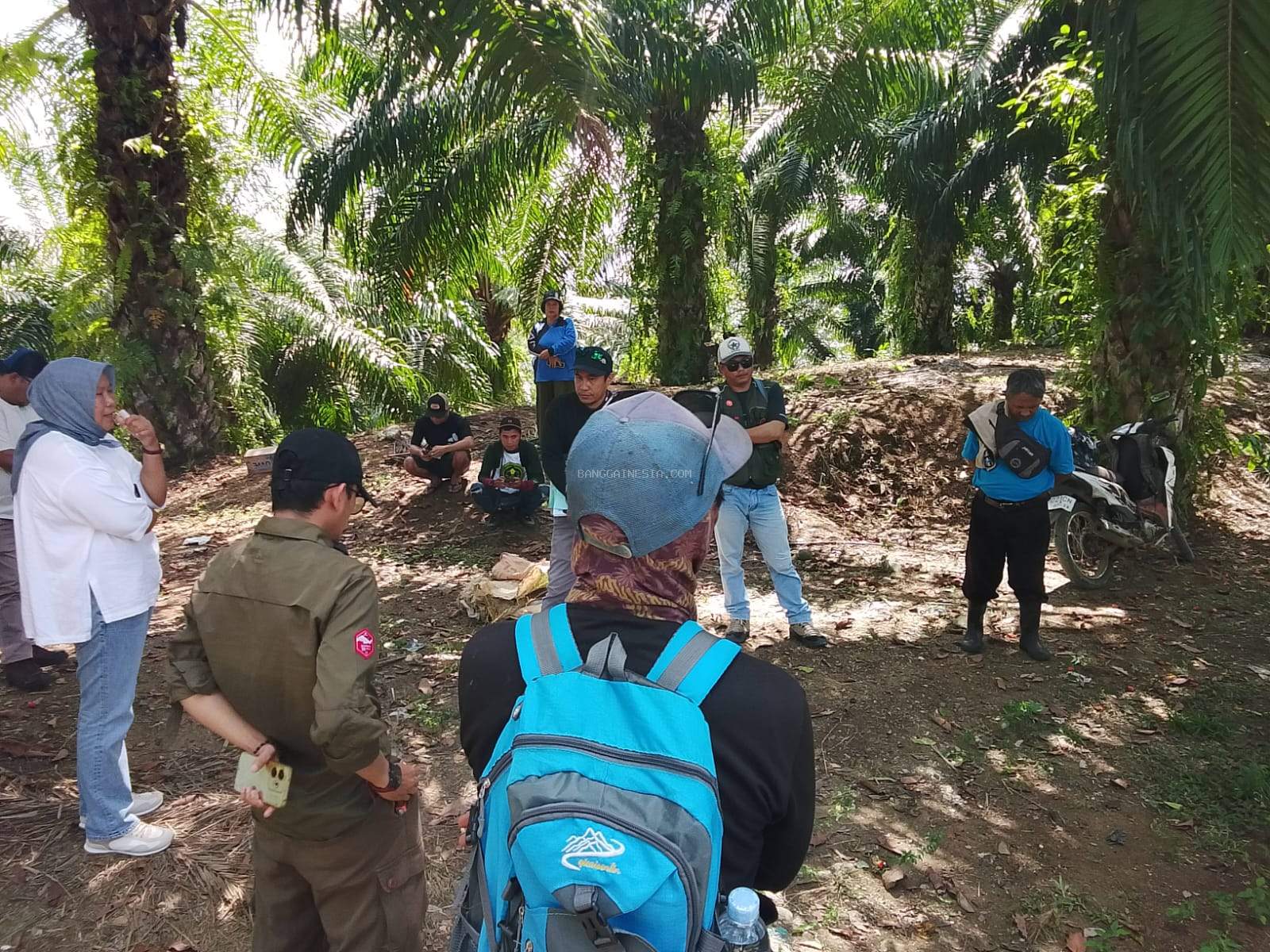 Tudingan Pemanenan Sepihak Terbantahkan dalam Verifikasi Lahan Sawit di Batui