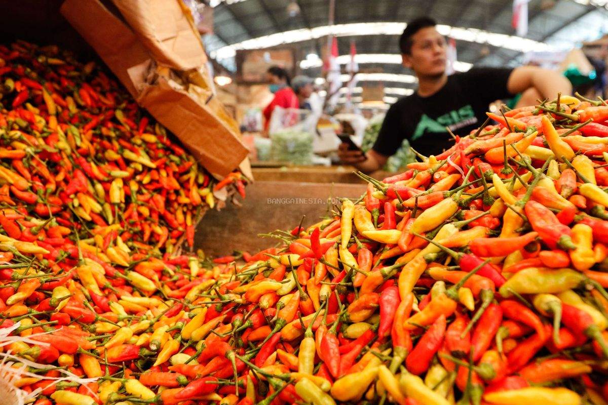 Beras Medium, Cabai Rawit, dan Daging Sapi Kompak Naik!
