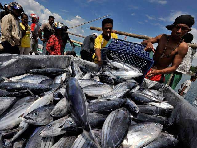  Dihantam Cuaca Buruk, Harga Ikan di Banggai Melonjak 20 Persen