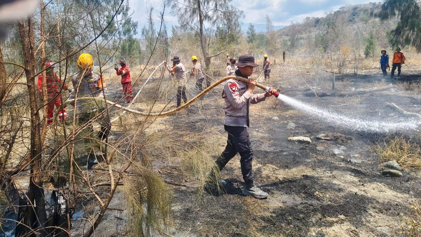 Karhutla Melanda Empat Wilayah di Sulteng, Brimob dan Polres Jajaran Diterjunkan Padamkan Api